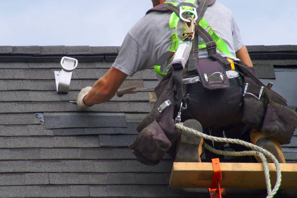 Best Residential Vinyl Siding Installation  in Luckey, OH