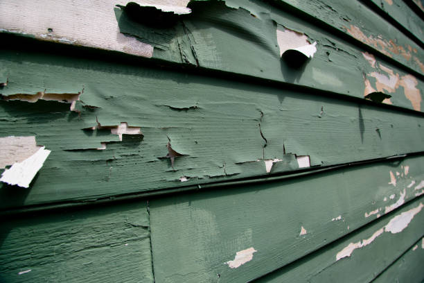Best Siding Removal and Disposal  in Luckey, OH