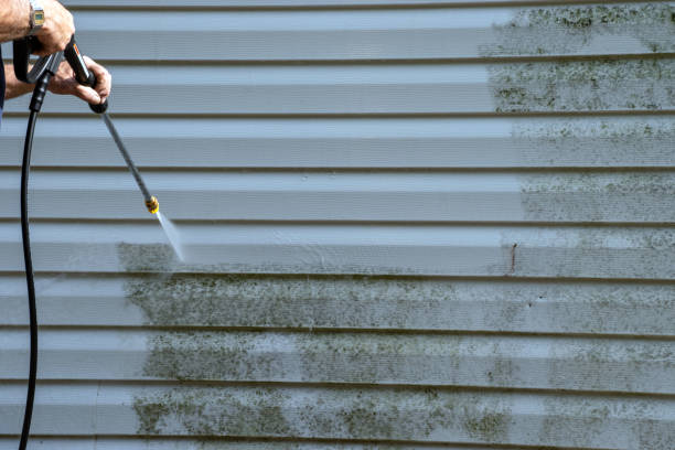 Best Residential Vinyl Siding Installation  in Luckey, OH