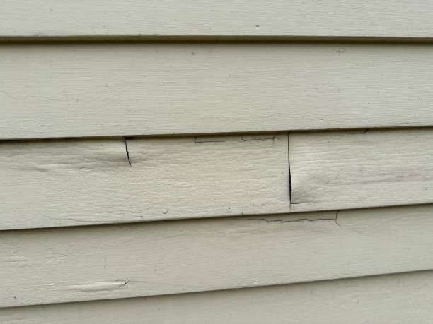 Best Historical Building Siding Restoration  in Luckey, OH